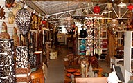 Show Room de Decoração Jungle Casa
